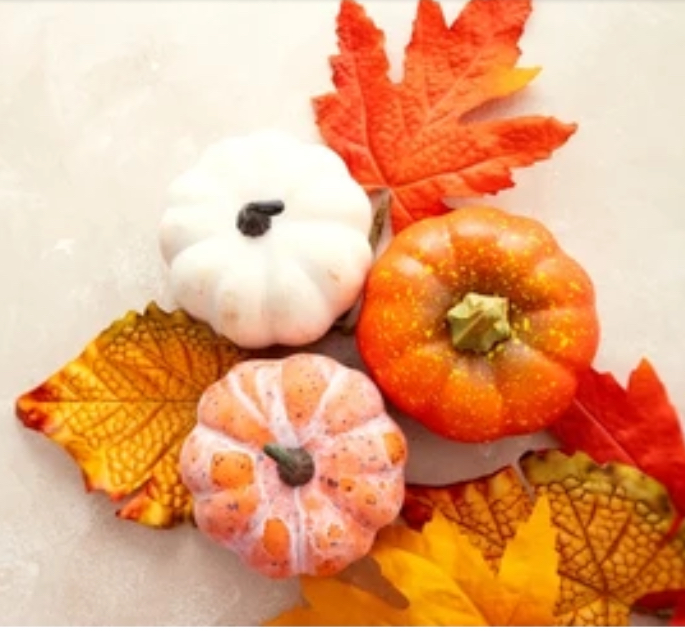 NO Rehearsal - Thanksgiving